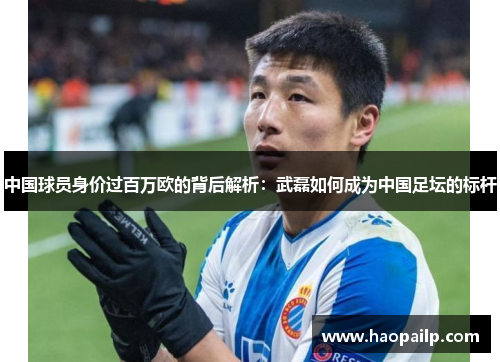 中国球员身价过百万欧的背后解析：武磊如何成为中国足坛的标杆