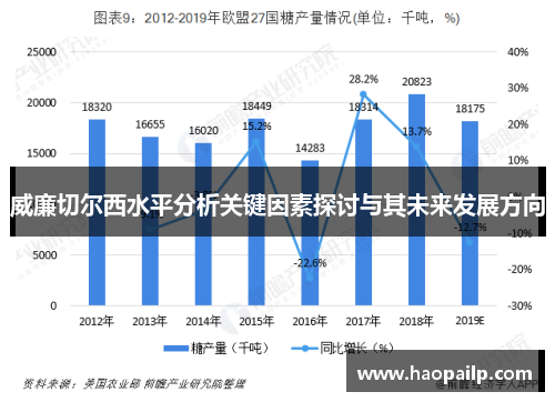 威廉切尔西水平分析关键因素探讨与其未来发展方向