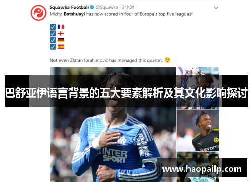 巴舒亚伊语言背景的五大要素解析及其文化影响探讨