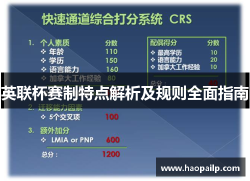英联杯赛制特点解析及规则全面指南